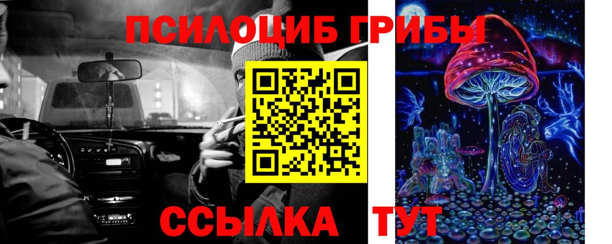 Междуреченск  Псилоцибиновые грибы Psilocybe  как найти   Вход с VPN  Галлюциногенные грибы Cubensis 